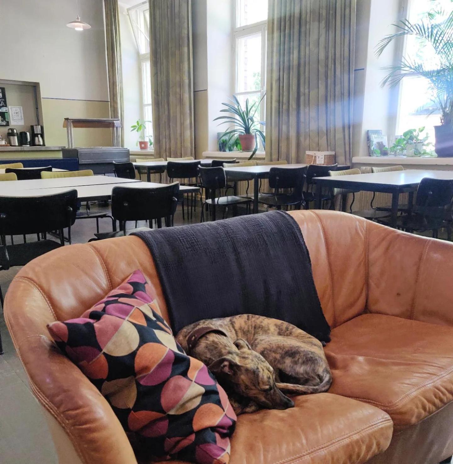 Hostel Suomenlinna Helsinki Eksteriør billede
